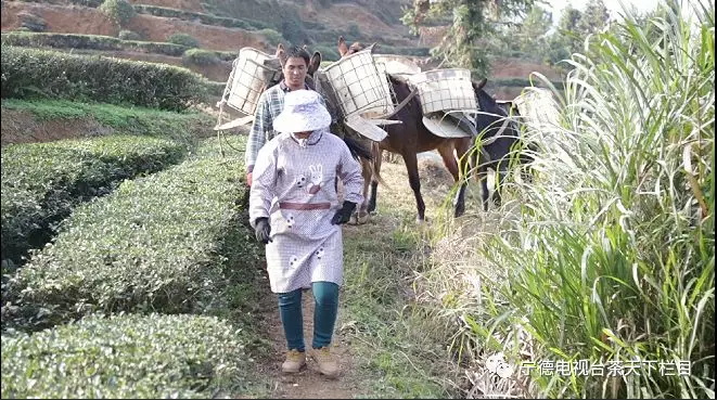 1515132704603606.jpg 640 (2).JPG