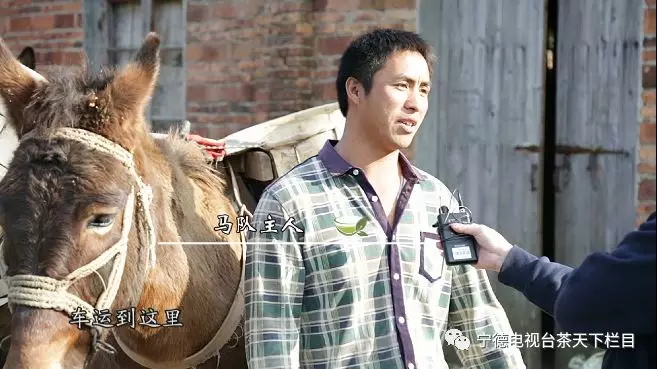 1515132709498996.jpg 640 (3).JPG