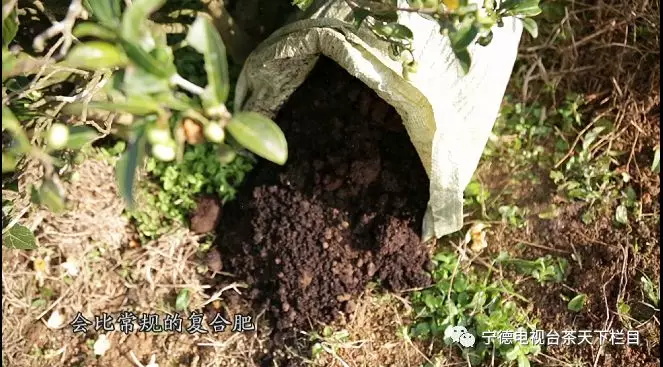 1515132742115303.jpg 640 (5).JPG