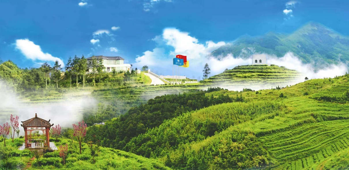 1736308438526205.jpg 49b544f7d62405baf8040d22f437de8a.jpg